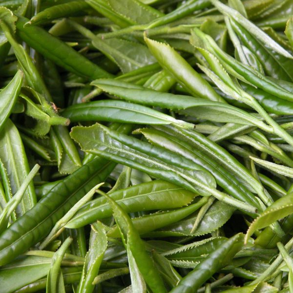 Galerie TschanaraTeagarden